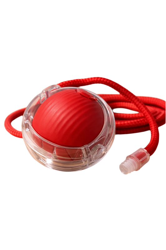 Pawtopia™Interactive Bounce Rope Ball