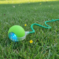 Interactive Ball Toy