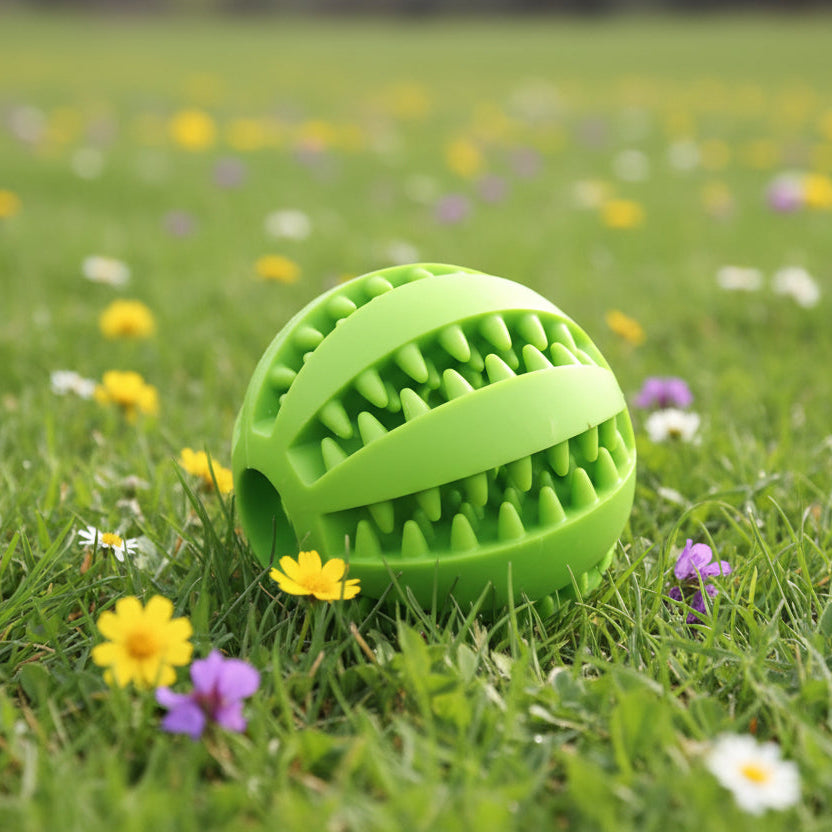 Natural Rubber Chew Toy