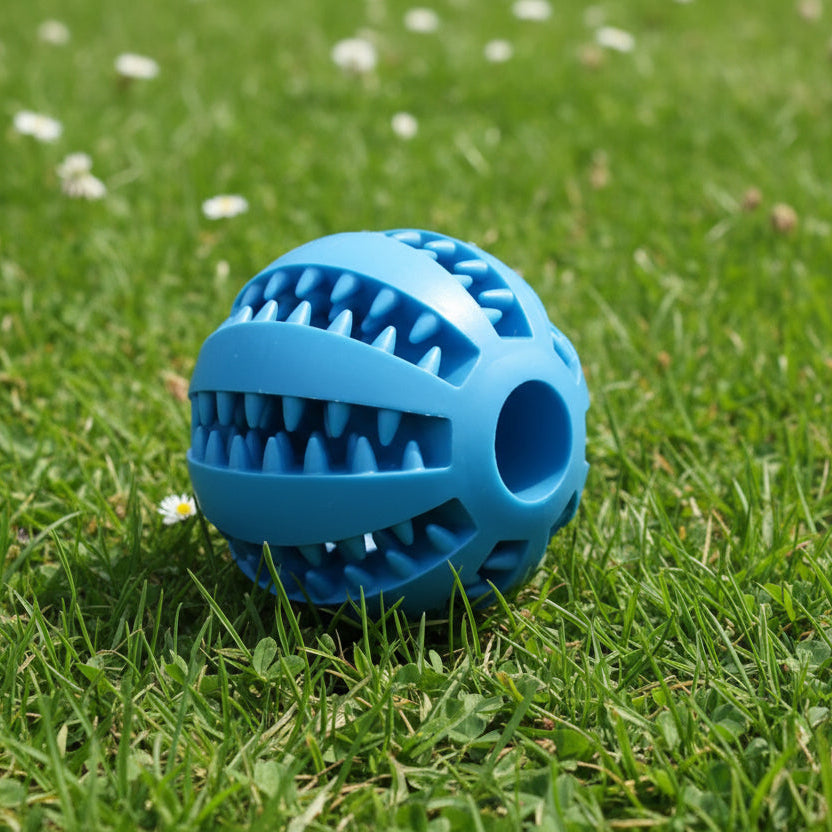 Blue textured ball on a grassy field