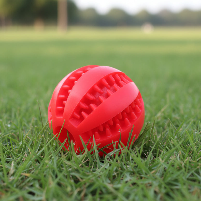 Natural Rubber Chew Toy