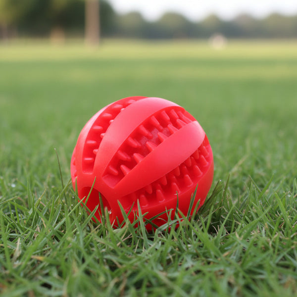 Natural Rubber Chew Toy