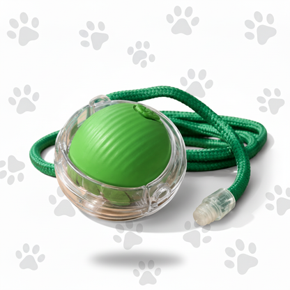 Green ball toy with paw print background
