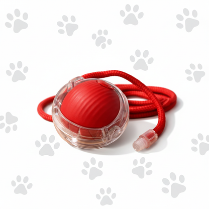 Red ball toy with paw print background